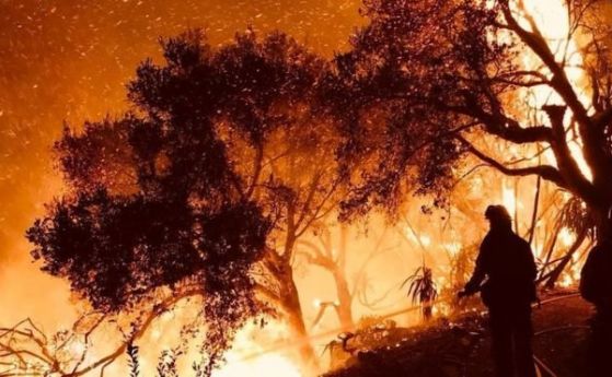 Опустошителният горски пожар Тома в южна Калифорния обхващат все по голяма