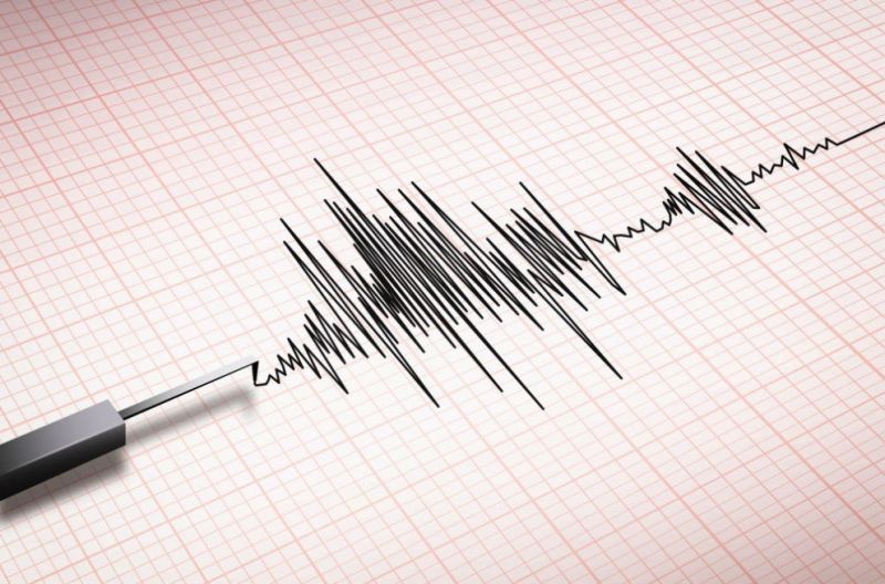 Земетресение с магнитуд 5,3 по Рихтер е регистрирано на територията