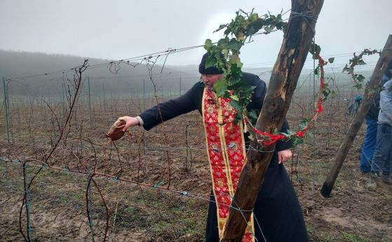 Никополското село Любеново отпразнува днес по традиция празника Трифон Зарезан