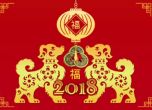 Китай посрещна Нова година, а с нея - и Жълтото земно куче