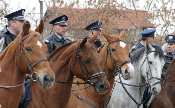 Конни полицаи от СДВР показаха майсторска езда на стадиона в