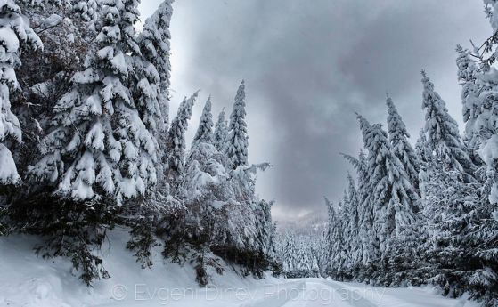 Усложнена зимна обстановка в цялата страна – поради обилен снеговалеж
