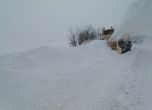 Снежна блокада на Североизточна България: Затвориха магистрала Хемус