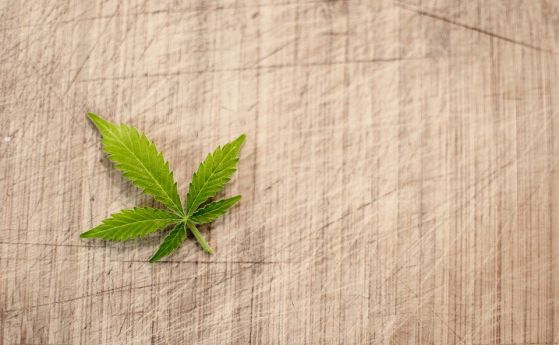 Гръцкият парламент легализира производството на марихуана за медицински цели и
