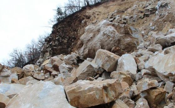 Концесионер изхвърлял отпадъци в гора край Стрелча