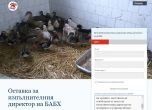 Петиция иска оставката на шефа на БАБХ заради умъртвяването на над 100 диви птици