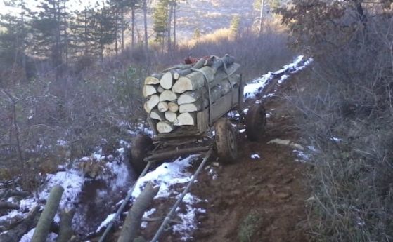 Двама бракониери са нападнали горски служители от участъка в Котел