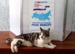 Избори в Русия: евтини пирожки, музика на открито и контролиран вот