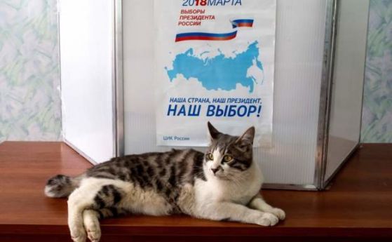 Властите в Русия превърнаха президентските избори в атракция привличаща избиратели