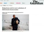 Спасените български щъркели стигнаха до международните медии