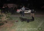Полицията във Флорида извади 3-метров алигатор от домашен басейн (видео)