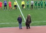 Руският футбол си е пълен зоопарк (видео)
