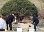 Лидерите на двете Кореи засадиха борово дръвче преди втория кръг преговори (видео)
