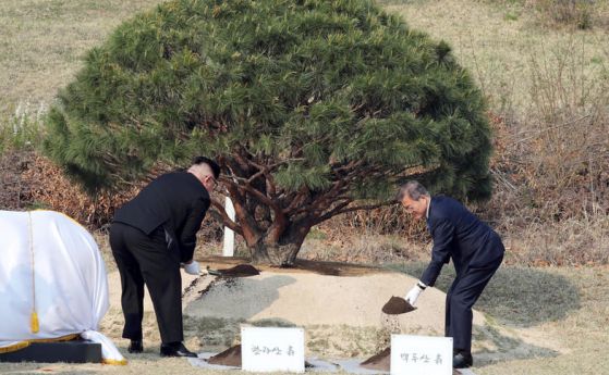  Лидерите на двете Кореи засадиха борово дръвче преди втория кръг договаряния (видео) 