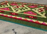 Килим от рози украси площада пред НДК (галерия)