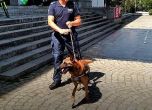 Полицаи демонстрираха пред деца работата със служебни кучета