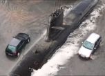 Фейсбук се шегува с наводнението: Кашалот се мята на столичен булевард (видео)