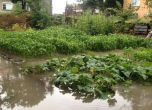 Наводнение в Мизия, Хайредин и Борован: обявено е бедствено положение (снимки)