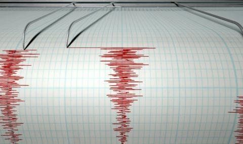 Земетресение с магнитуд 4,5 по скалата на Рихтер е регистрирано