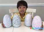 Райън - 6-годишното хлапе, което стана милионер от ревюта на играчки в YouTube
