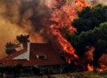 50 жертви на пожарите край Атина, 170 ранени: ситуацията е извън контрол (видео, обновена)