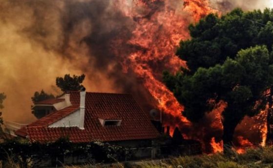 Горските пожари които бушуват край столицата Атина убиха най малко 20