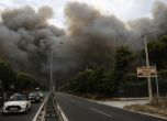 Броят на загиналите при пожарите в Гърция достигна 74 души (обновена)