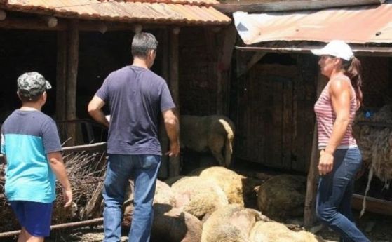 Продължава вземането на проби за наличие на чума по животните в Ямболско