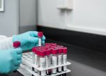 Лабораторните изследвания отхвърлят африканска чума за глигана край Шабла