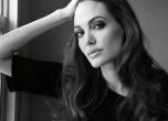 Анджелина Джоли се оплака пред съда, че Брад Пит не плаща издъжката на децата им