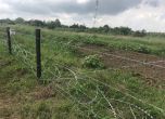 81 км от телената ограда срещу диви свине по границата с Румъния вече са готови