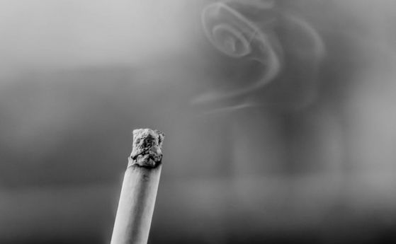  Отчетоха рекордно ниски равнища на контрабандата с цигари 