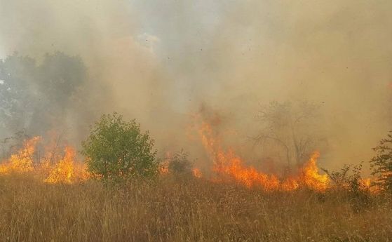  Пожар избухна в борова гора над Карлово (обновена) 