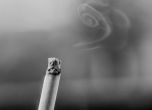 Едва 4,7% от цигарите у нас били контрабандни