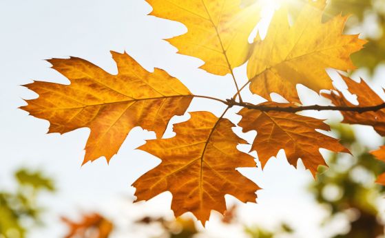 Топъл и по облачен ще е първият есенен ден Астрономическата есен