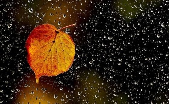 Днес сутрешните температури в по голямата част от страната ще бъдат