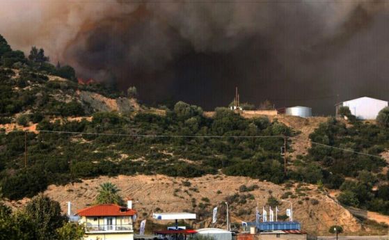 Усилено продължава борбата с пожар в полуостров Ситония в Гърция