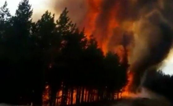 Горски пожар бушува край Белица Огънят е пламнал над село