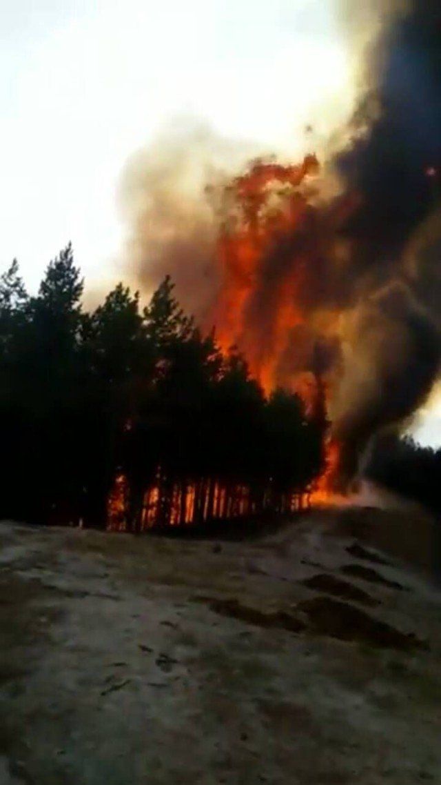 Горски пожар бушува край Белица. Огънят е пламнал над село