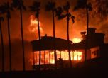 9 убити, 35 изчезнали в пожарите в Калифорния, холивудски звезди бягат от Малибу