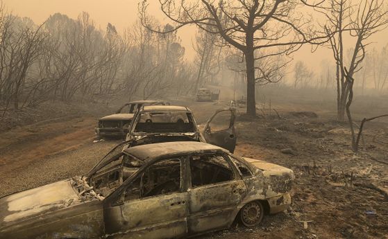 Жертвите на горските пожари в Калифорния достигнаха 42 съобщиха американските