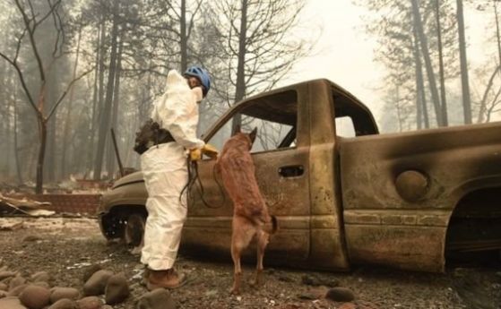 Жертвите на огромния пожар в Северна Калифорния са вече най малко