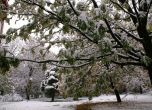 Снегът остави 10 населени места в община Пазарджик без ток