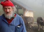 Швейцарците казват НЕ на субсидиите за крави с рога
