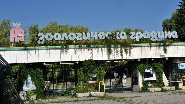 Билетът за вход в Софийския зоопарк да се увеличи от