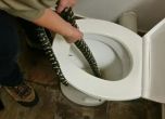 Питон ухапа австралийка в тоалетната