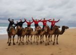 Футболистите на ЦСКА яхнаха камили в Мароко (снимки и видео)