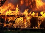 Трагедия в София: Четвъртокласник и баба му загинаха в среднощен пожар, спасиха майката и сестричката му