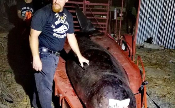 Мъртъв кит бе изхвърлен на морския бряг край Филипините а