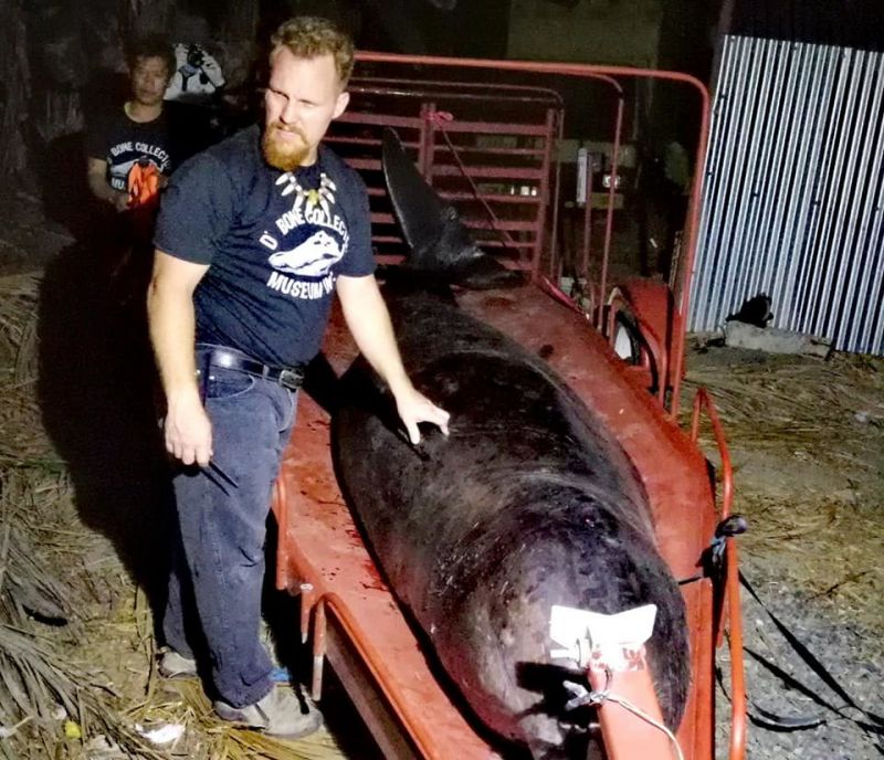 Мъртъв кит бе изхвърлен на морския бряг край Филипините, а